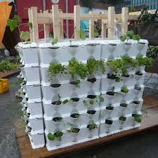 Urban Vegetable Gardening