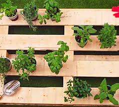 Diy Upcycled Pallet Herb Garden