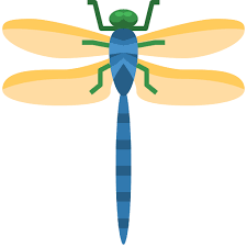 Dragonfly Generic Flat Icon
