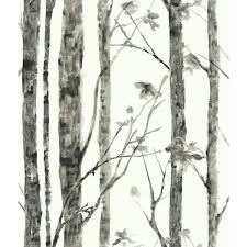 Roommates White And Grey Birch Trees