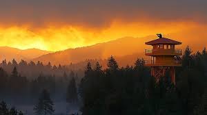 Lookout Tower Images Browse 17 345