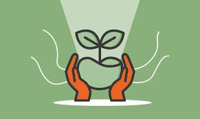 How To Start A Successful Plant Nursery