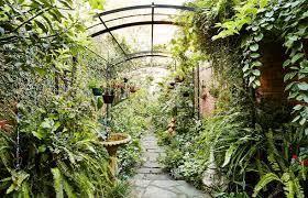 Small Spaces Gardening Renew