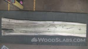 rainbow poplar wood slab t64 eyg o3iq