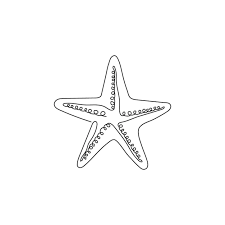 Marine Logo Sea Star Creature