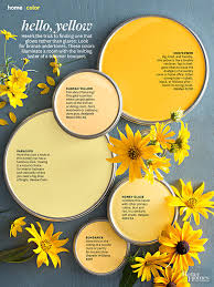 Popular Yellow Paint Colors Collection