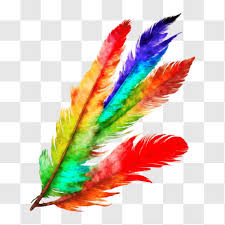 Colorful Feathers For Decoration