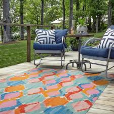 Indoor Outdoor Area Rug