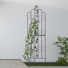 Design Garden Climbing Plants Trellis