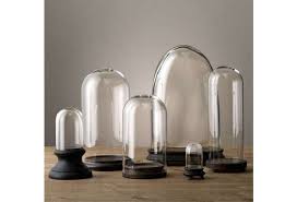 Petite Glass Cloche Collection