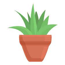 Succulent Plant Pot Icon Cartoon Of
