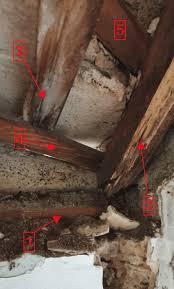repair detail of rotting timber wall
