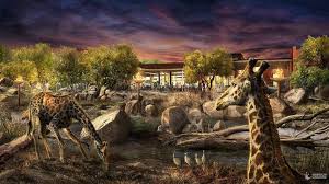 Sacramento Zoo Scraps Elk Grove Plans