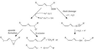 Chemical Reaction An Overview