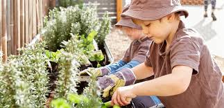 Gardening Activities For Little Green