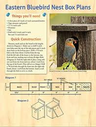 Building Plans For Homebound Bird