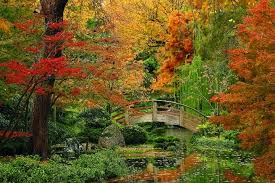Fort Worth Japanese Gardens