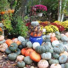 Stonewall Garden Center Canadensis