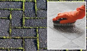 45p Method To Clean Patio Moss
