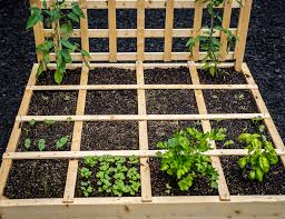 Vegetable Garden Planners To Help You