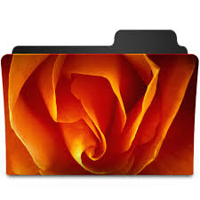 Orange Rose Icon Goodies Folder Icons