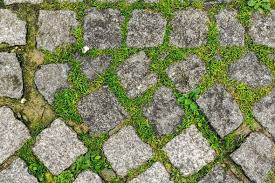 Remove Moss From Your Patio