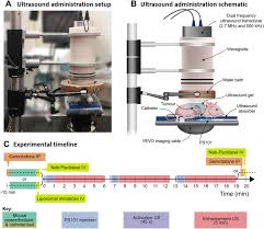 effect of acoustic cer therapy act