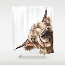 Sneaky Highland Cow Shower Curtain By