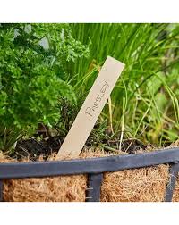 Smart Garden S Solar Lights