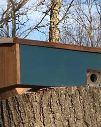 Barn Owl Nest Box Plans