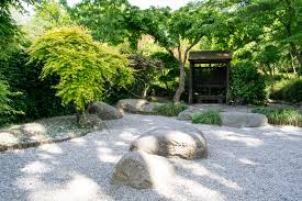 Zen Gardens A Peaceful Alternative
