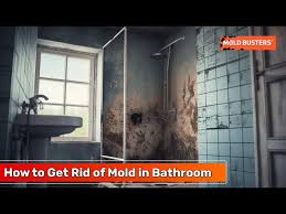 Effective Bathroom Mold Removal Service