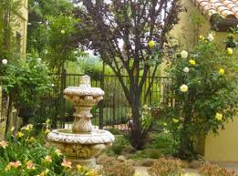 Plants For Narrow Spaces Eden Makers