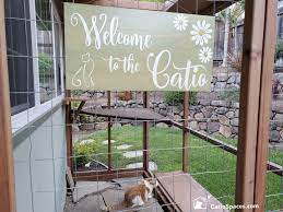 Diy Catio Plans Catio Spaces