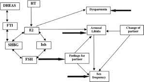 Structural Equation Modeling An