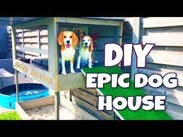 Diy Dog House With Pool Sandbox And