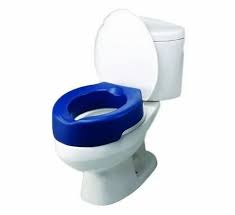 Raisin Deluxe Padded Raised Toilet Seat