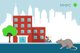 Nyc Pest Control Guide Mice And Rats