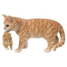 Mother Cat Carrying Kitten Orange