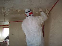 Know What You Want From An Asbestos