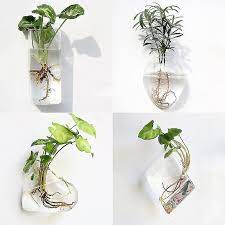 Wall Hanging Glass Vase Terrarium