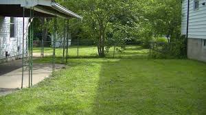 339 Placid Ave Saint Louis Mo 63125