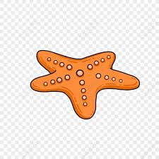 Cartoon Hand Drawn Starfish Art Design