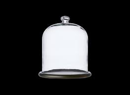 Bell Jar Glass W Wooden Base Nordic
