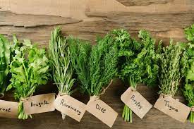 Herbs To Grow In Your Kitchen Garden