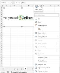 Insert Logos Fast In Excel