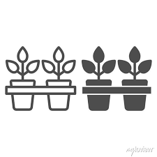 Potted Plant Line And Glyph Icon Pots