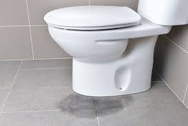 How To Repair A Chipped Toilet Bowl