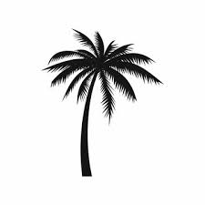 Palm Tree Images Browse 4 476 078