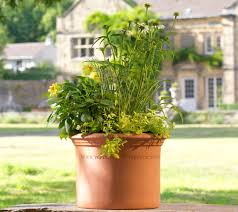 Yorkshire Flowerpots Clay Flowerpots